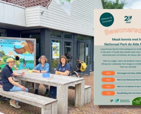 Alde Feanen